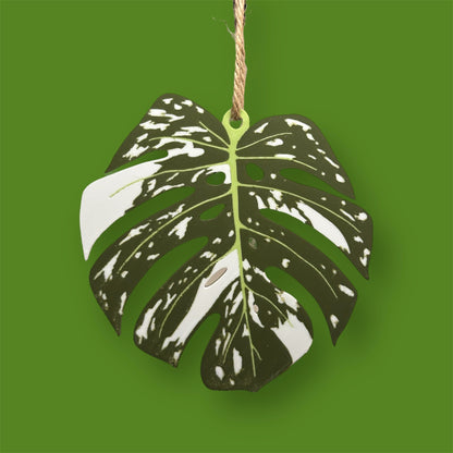 Variegated House Plant Christmas Tree Decorations