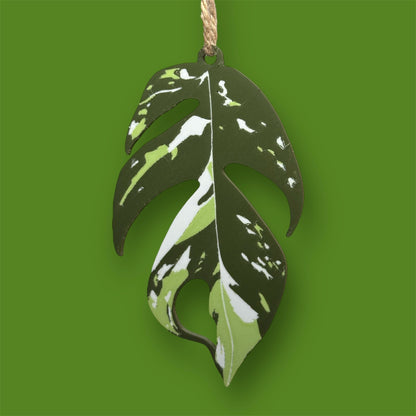 Variegated House Plant Christmas Tree Decorations